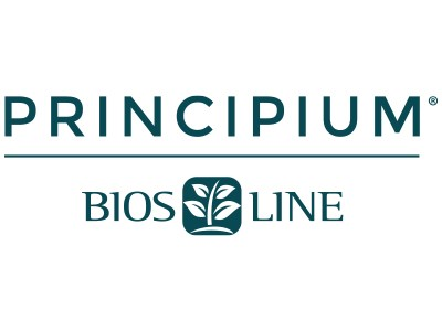 Principium